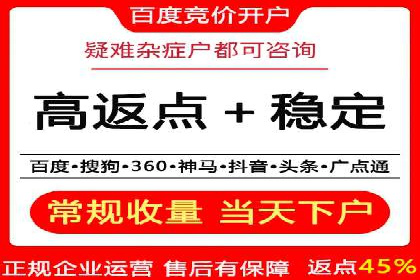搜索引擎优化（SEO）与竞价广告（SEM）的对比案例